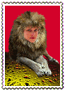 to bestiary